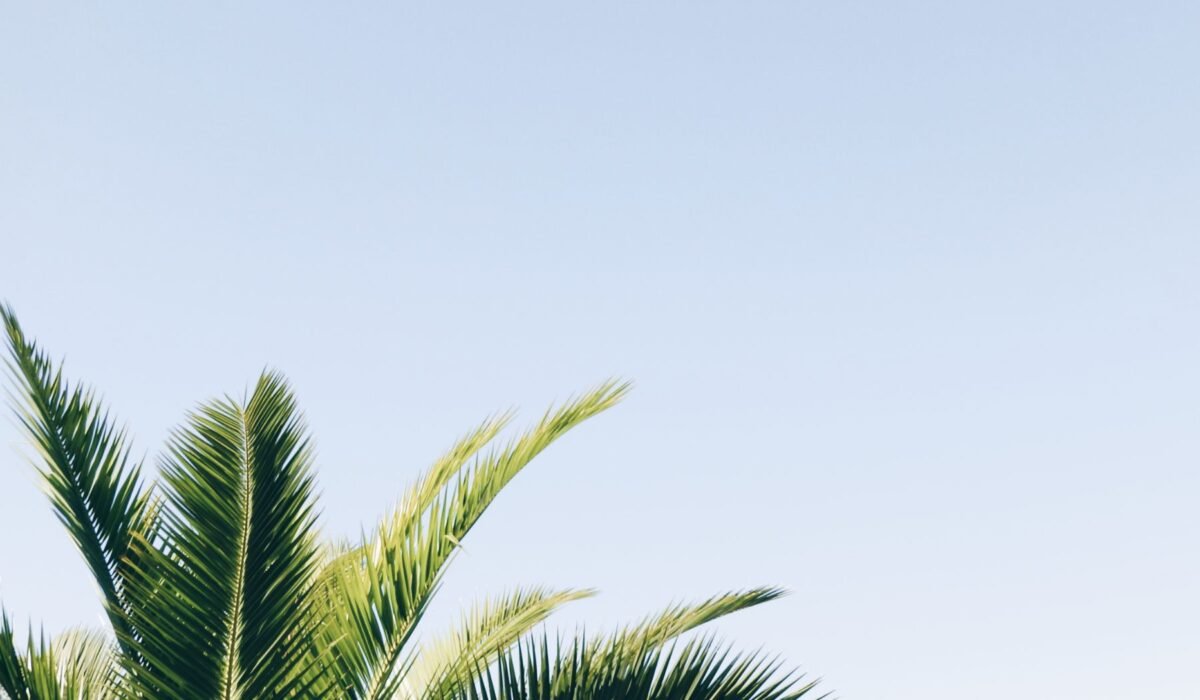 psychological coaching