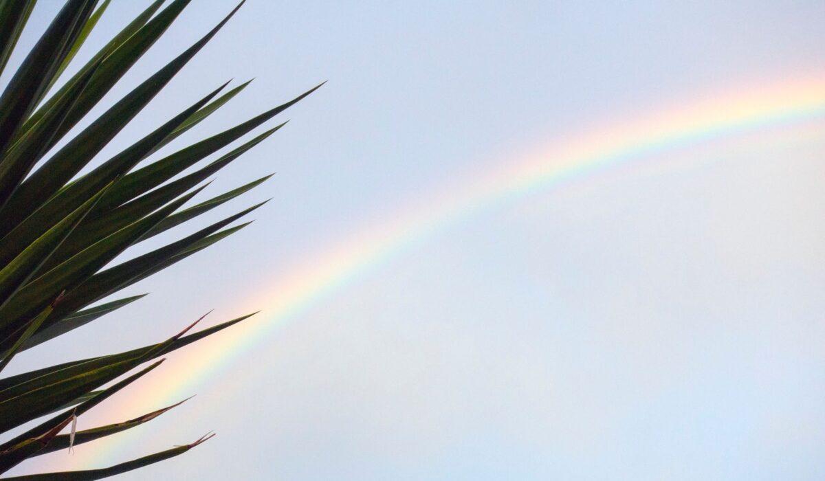 Energy Healing, The Reiki Experience