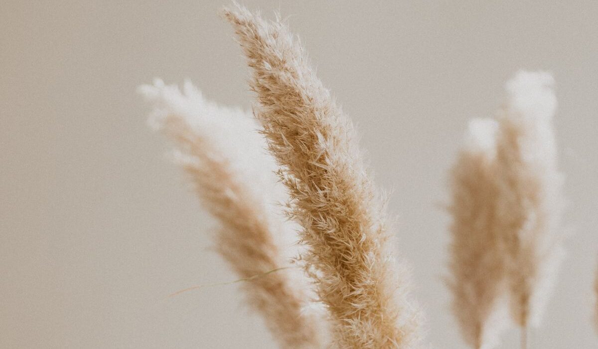 Reiki Energy Healing