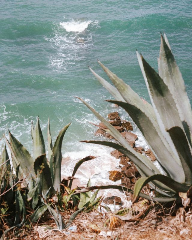 Atlantic Ocean coastline in Ericeira, Portugal, viewed from the cliffs during a quiet moment of reflection