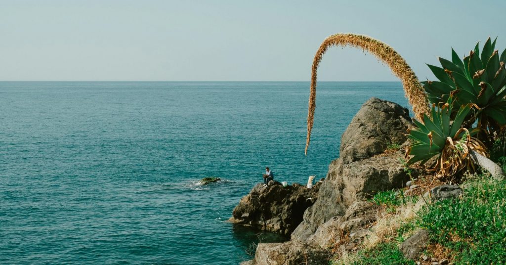 Quiet Atlantic coastline in Ericeira, Portugal, setting for a private wellbeing and coaching retreat